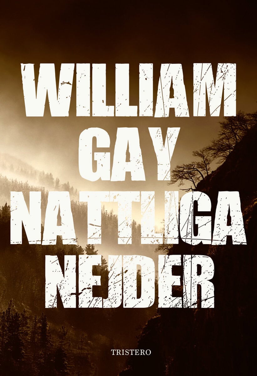 William Gay : Nattliga nejder