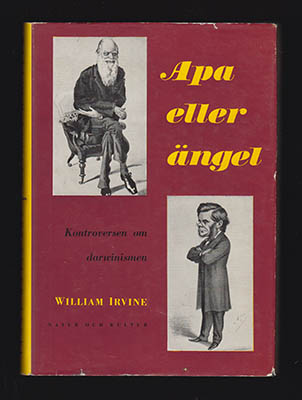 William Irvine : Apa eller ängel