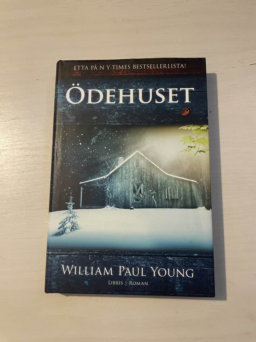 William P. Young : Ödehuset
