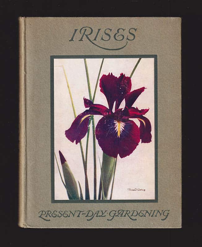 William Rickatson Dykes : Irises (Iris)