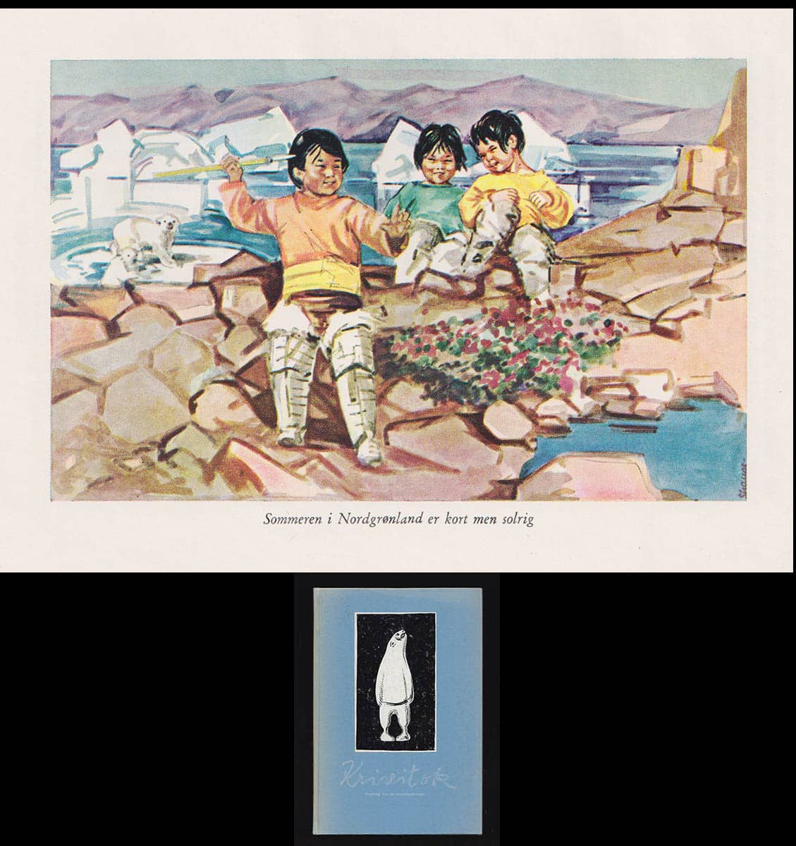 Willy Buch : Krivitok. Dagbog fra en Grønlandsrejse