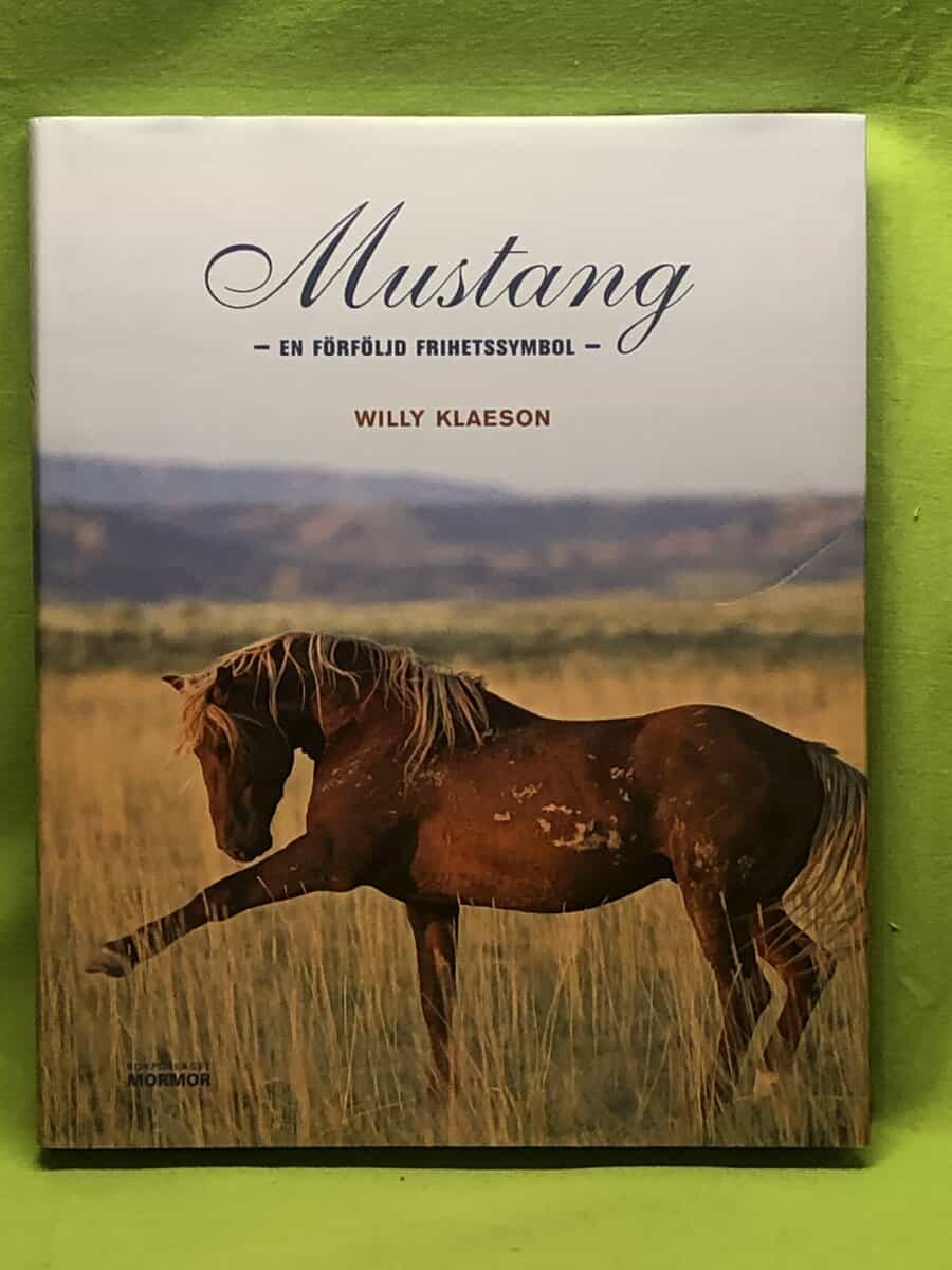 Willy Klaeson : Mustang