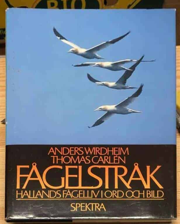 Wirdheim, Anders ; Carlén, Thomas : Fågelstråk