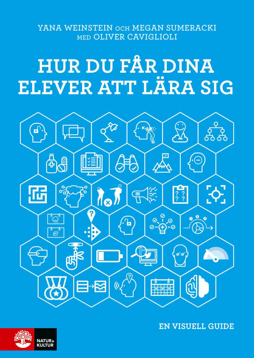 Weinstein, Yana ; Sumeracki, Megan ; Caviglioli, Oliver : Hur du får dina elever att lära sig : en visuell guide