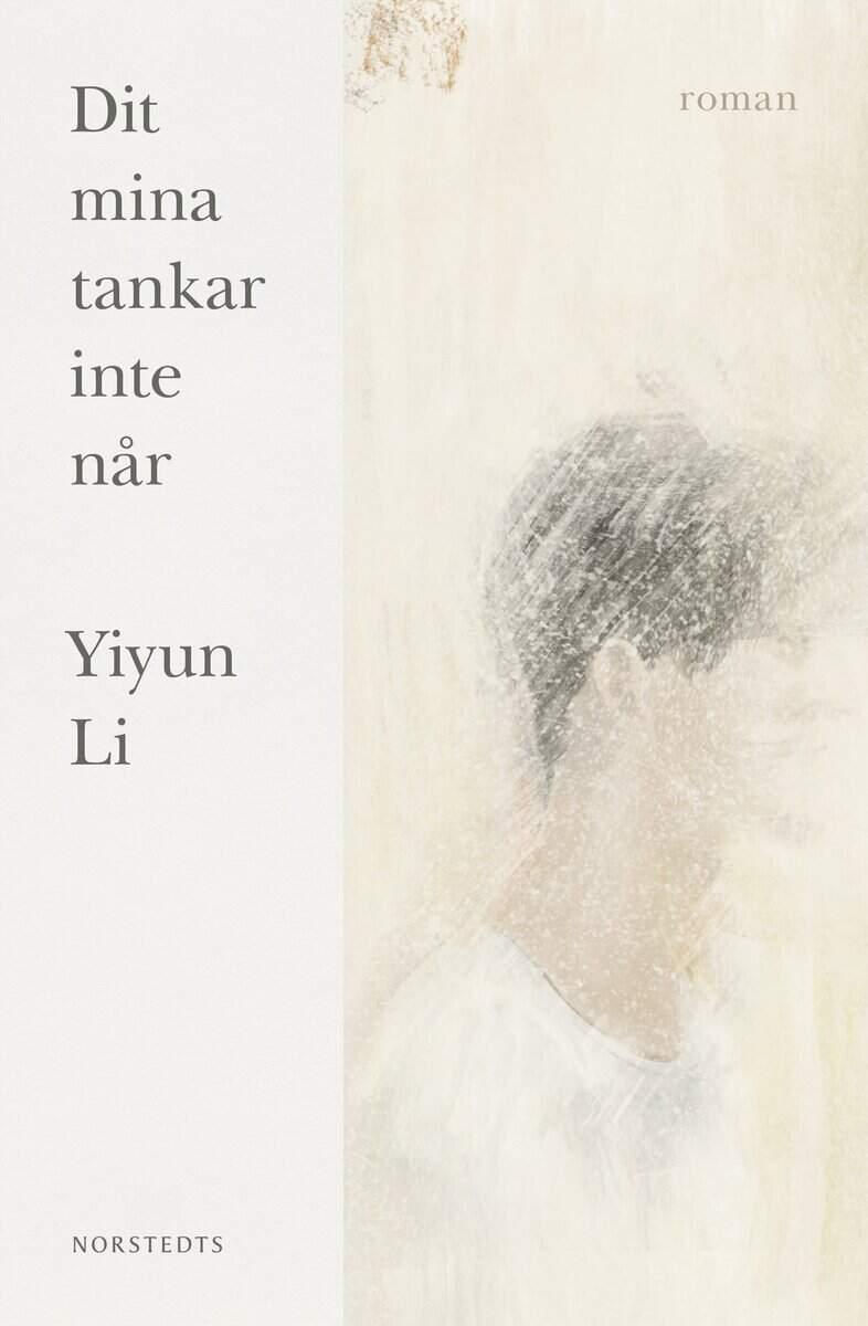 Yiyun Li : Dit mina tankar inte når