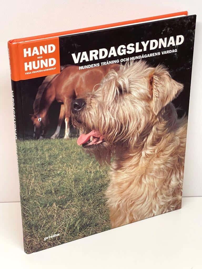 Ylva Franzén-Görnerup : Vardagslydnad