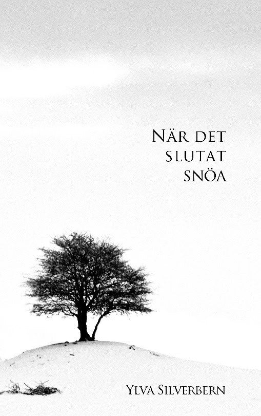 Ylva Silverbern : När det slutat snöa