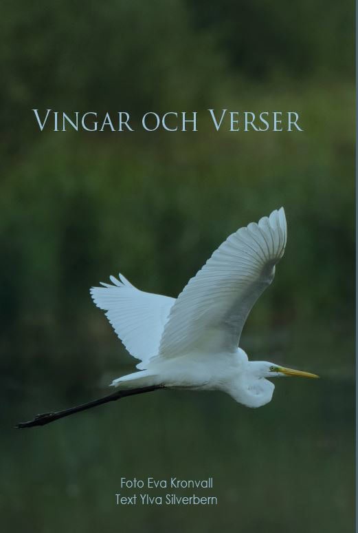 Ylva Silverbern : Vingar och verser