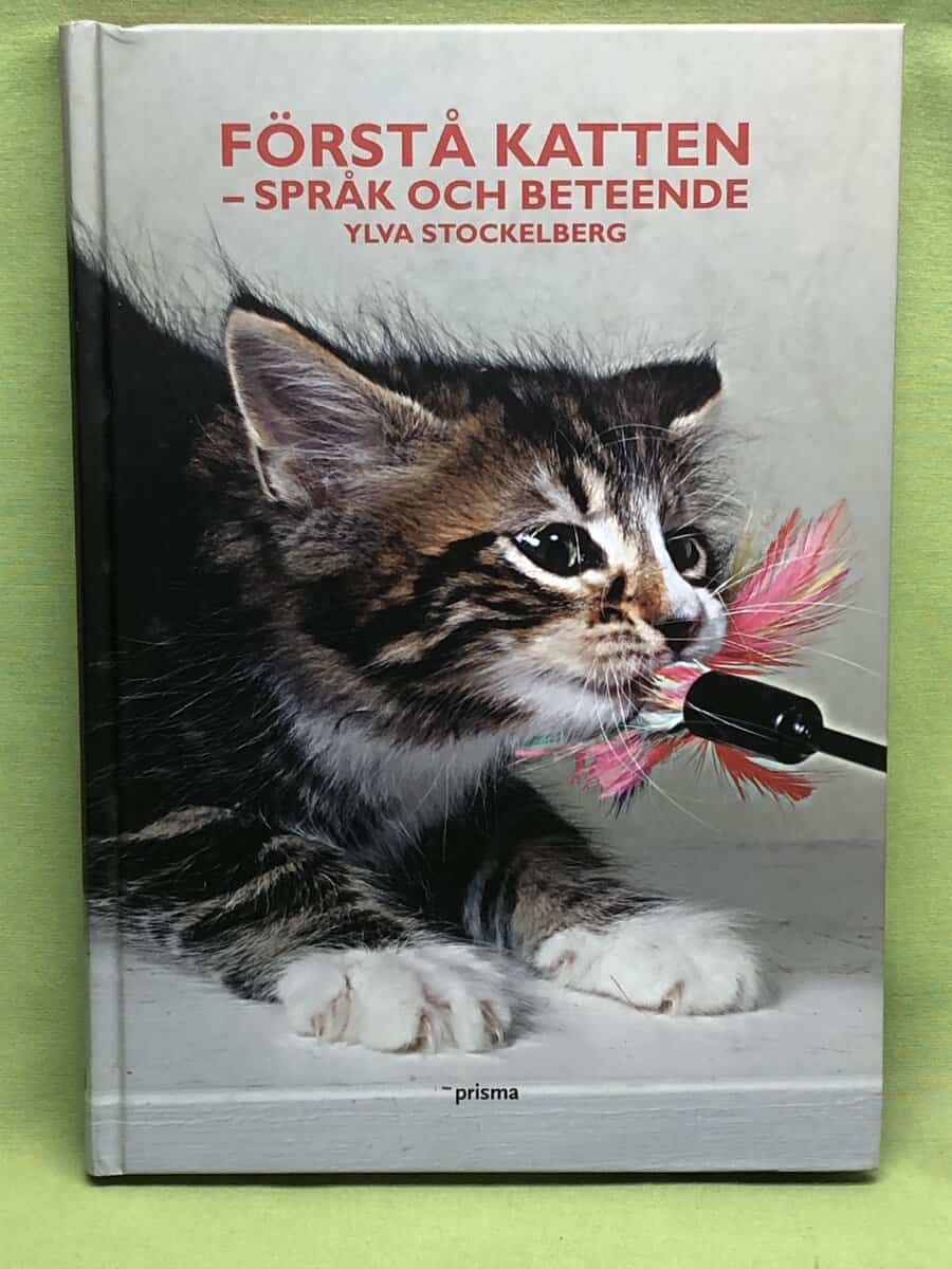 Ylva Stockelberg : Förstå katten