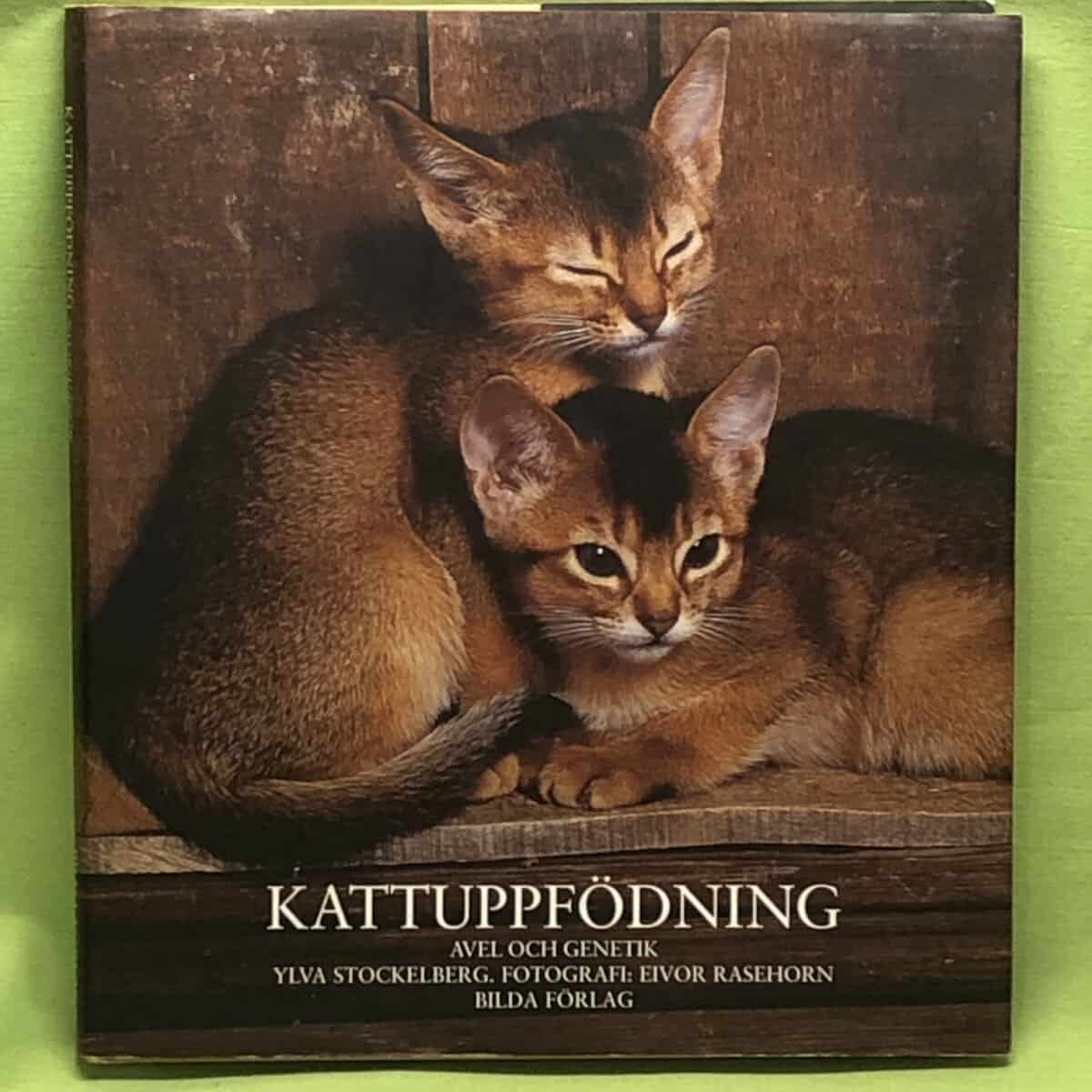 Ylva Stockelberg : Kattuppfödning