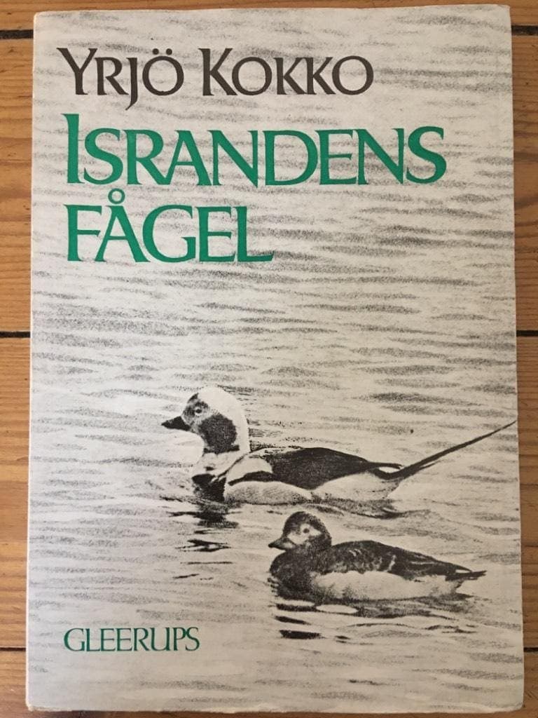 Yrjö Kokko : Israndens fågel