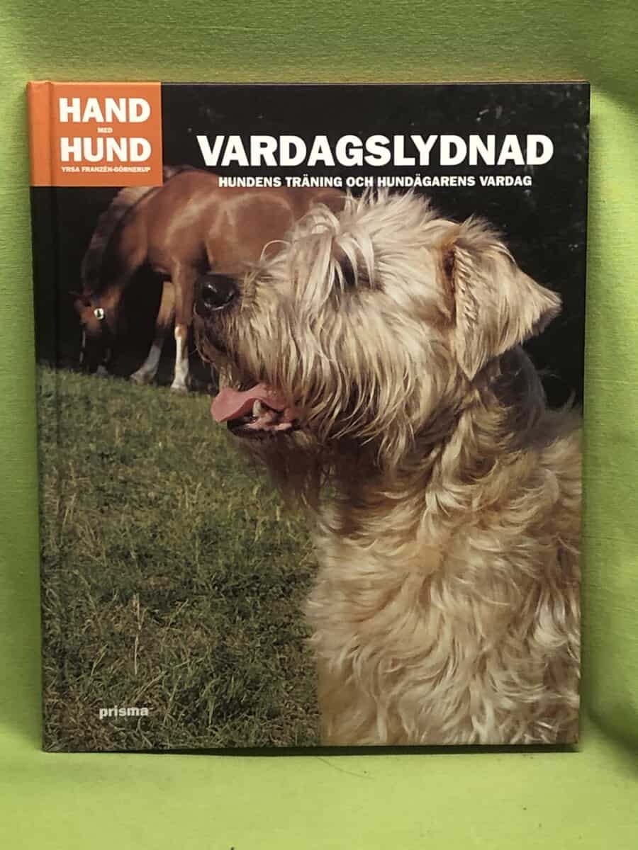 Yrsa Franzén-Görnerup : Vardagslydnad