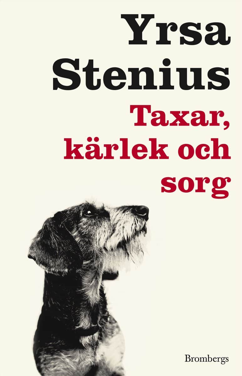 Yrsa Stenius : Taxar, kärlek och sorg