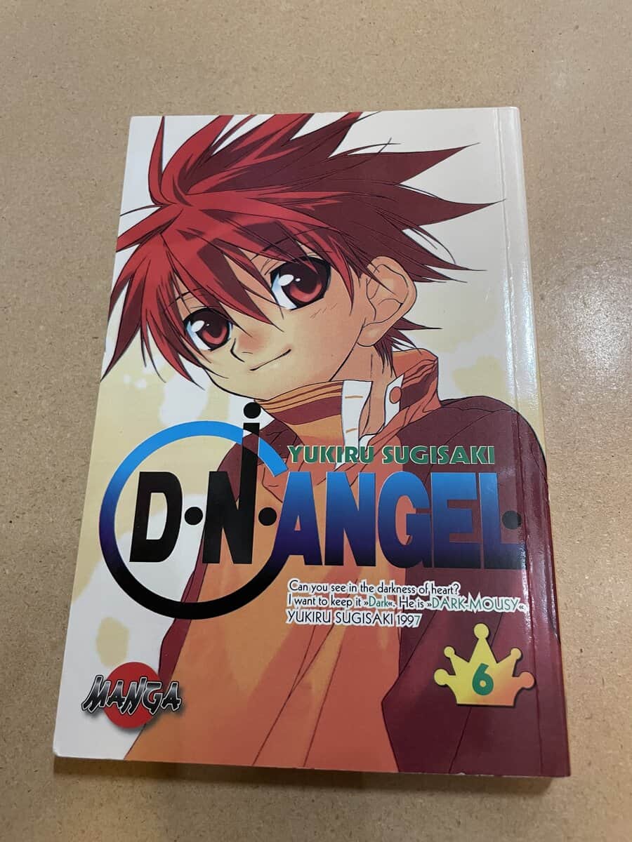 Yukiru Sugisaki : D. N. Angel 6