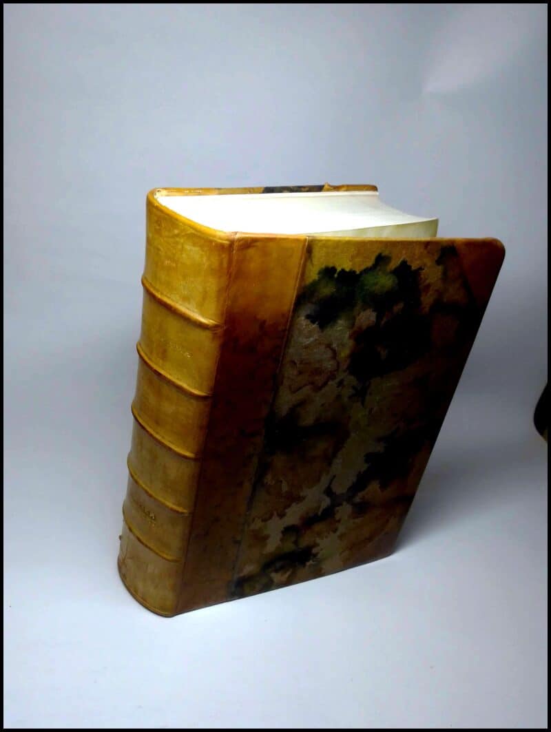 Xavier Herbert : Capricornia