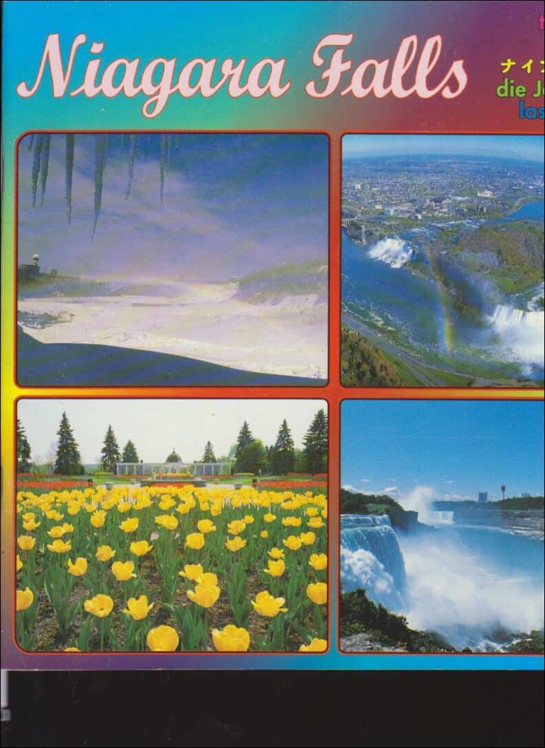 William Irwin : Niagara Falls