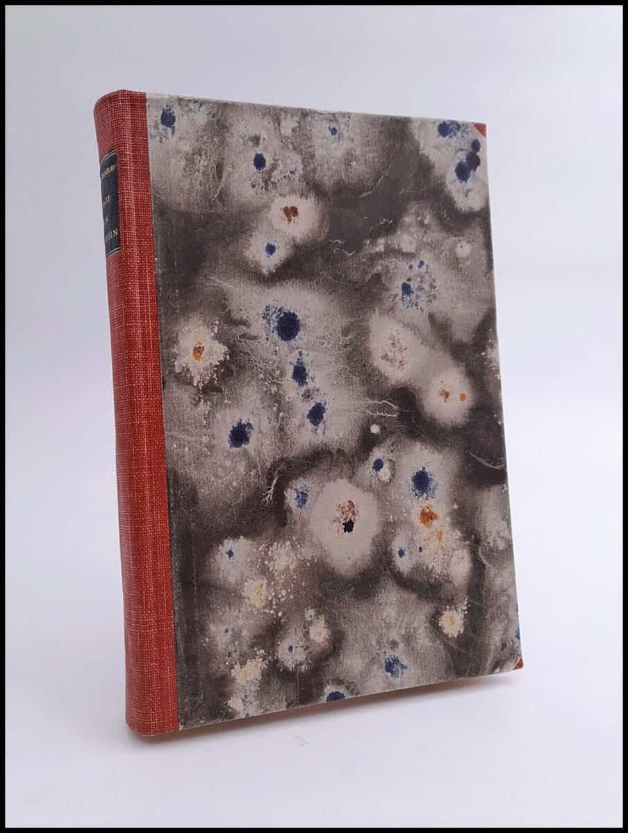 Eivind Berggrav : Biskop ovan polcirkeln