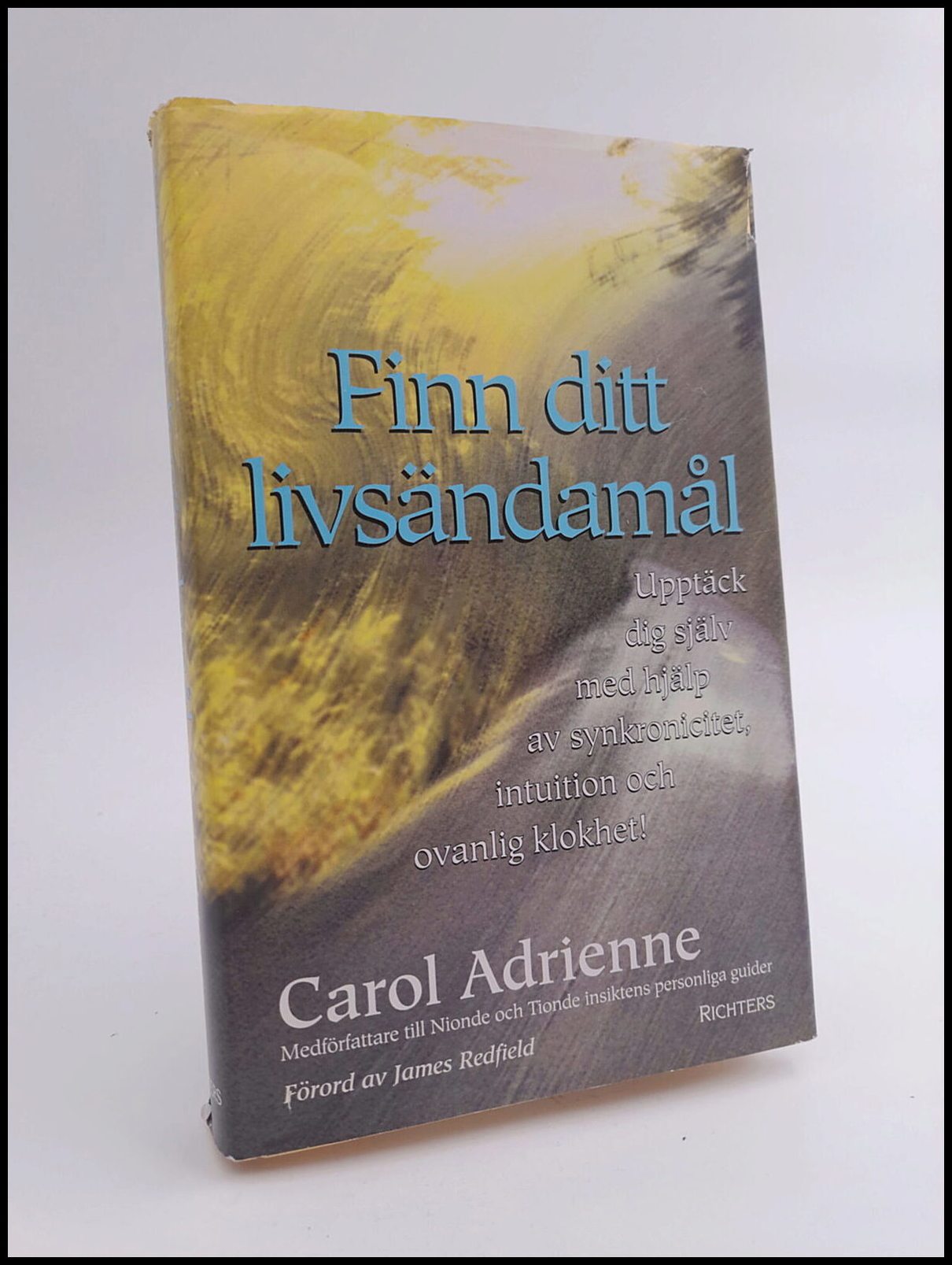 Carol Adrienne : Finn ditt livsändamål