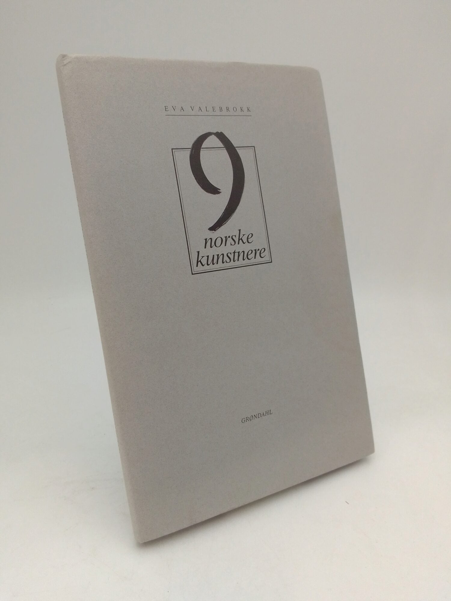 Eva Valebrokk : 9 norske kunstnere