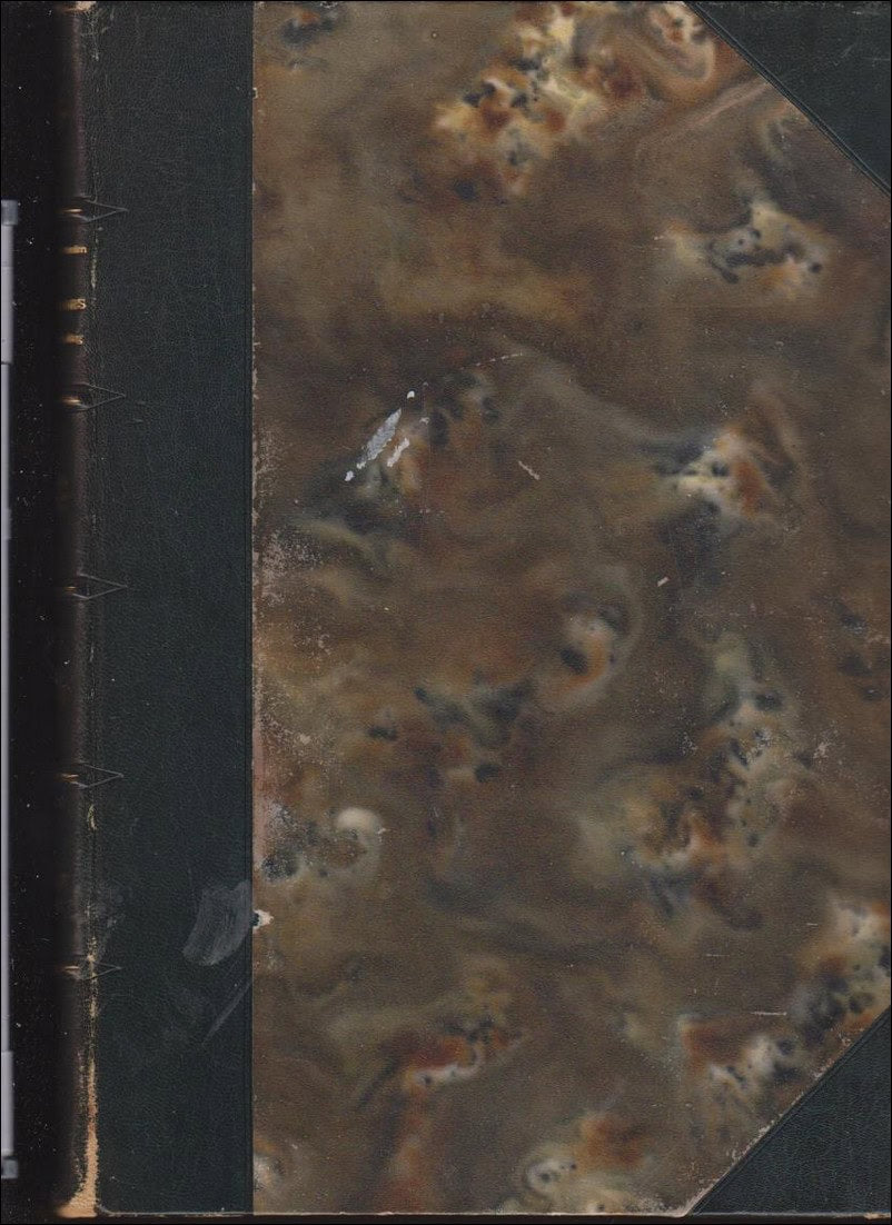 Verner von Heidenstam : Karolinerna