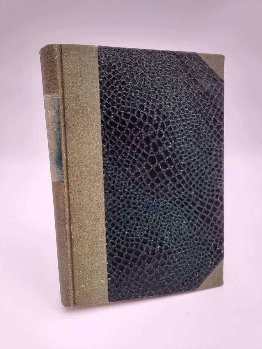 Det nya Sverige : 1921