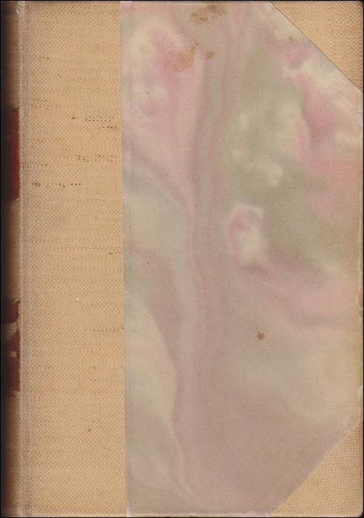 Verner von Heidenstam : Karolinerna