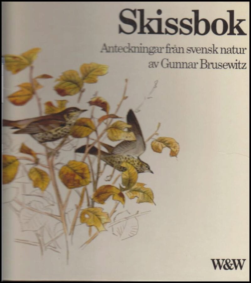 Gunnar Brusewitz : Skissbok