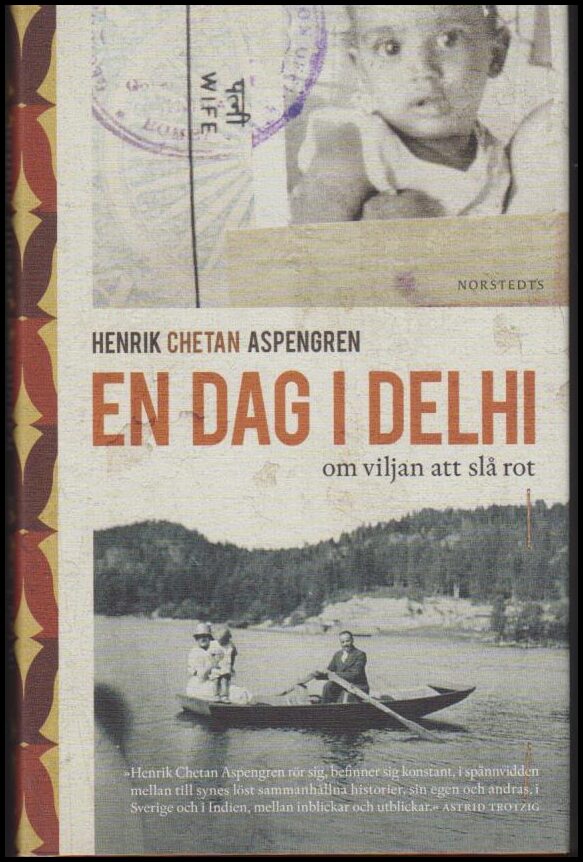 Henrik Chetan Aspengren : En dag i Delhi