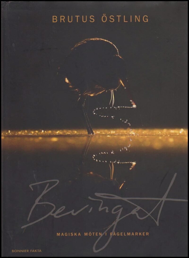 Brutus Östling : Bevingat