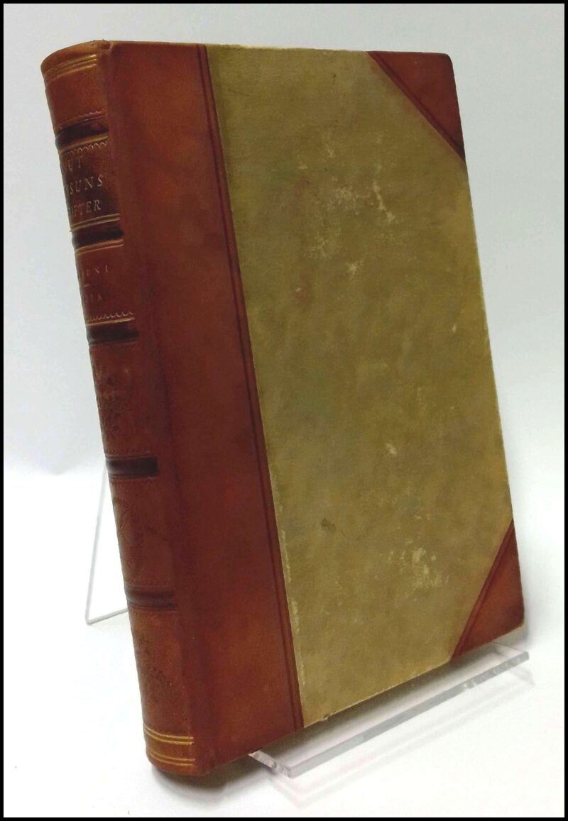 Knut Hamsun : Benoni ; Rosa