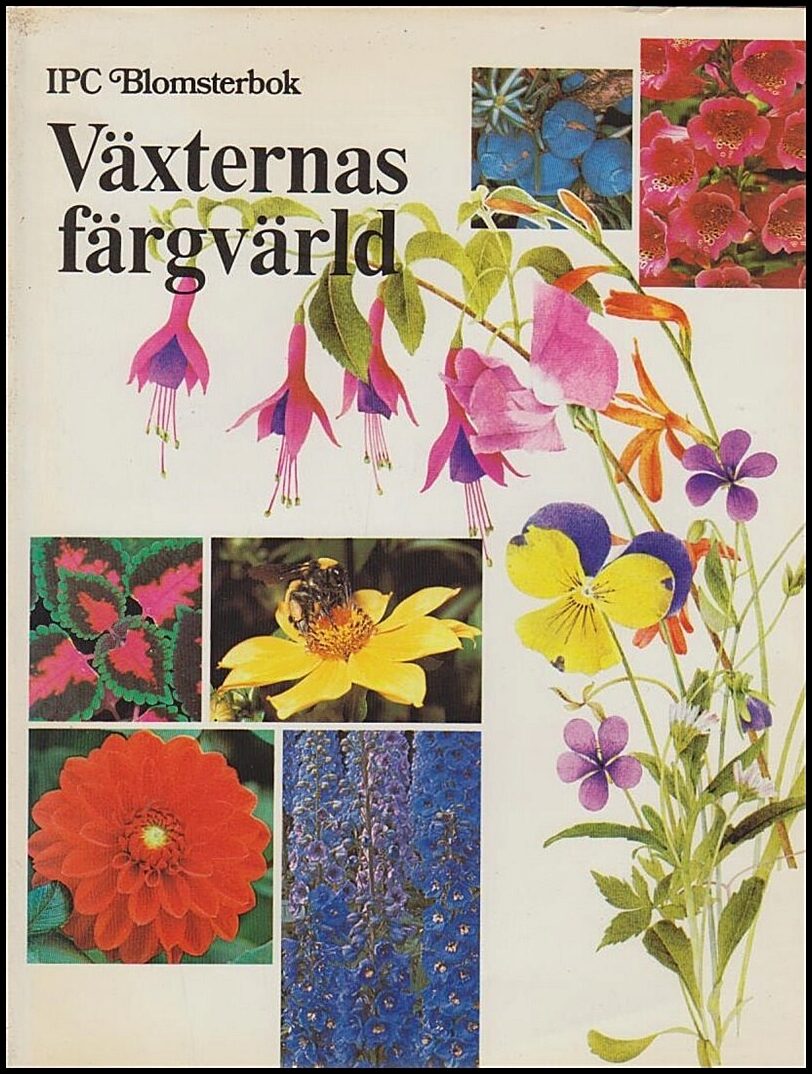 Proctor, Susan ; Proctor, John : Växternas färgvärld