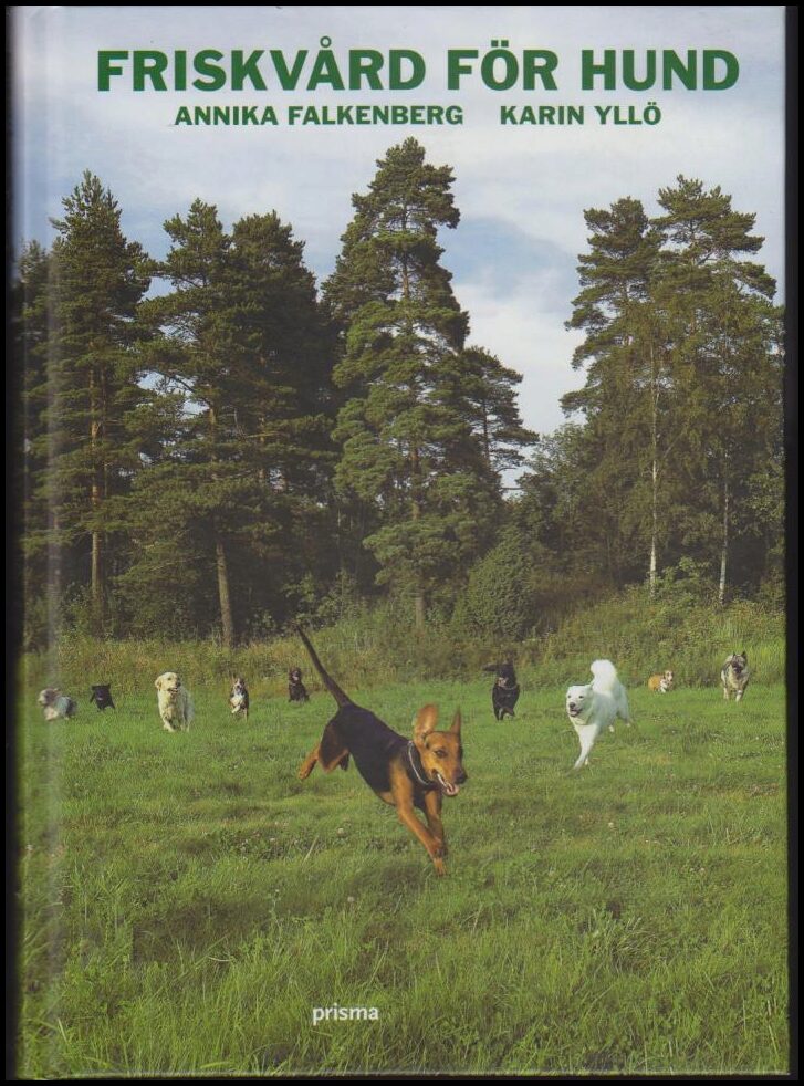 Falkenberg, Annika ; Yllö, Karin : Friskvård för hund