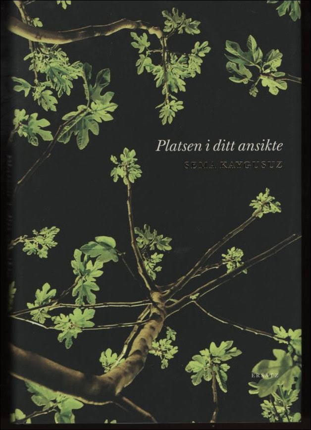 Sema Kaygusuz : Platsen i ditt ansikte