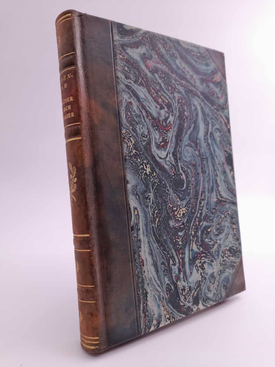 Verner von Heidenstam : Uppsatser, tal och fantasier