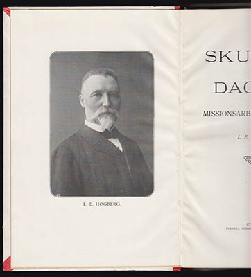 L. E. Högberg : Skuggor och dagrar