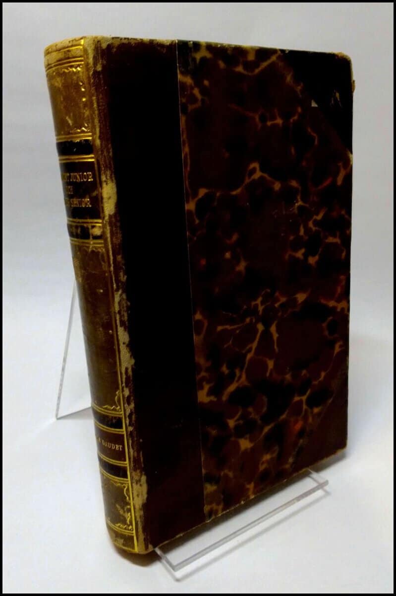 Alphonse Daudet : Fromont junior och Risler senior