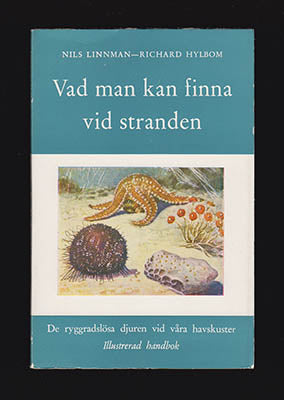 Linnman, Nils ; Hylbom, Richard : Vad man kan finna vid stranden