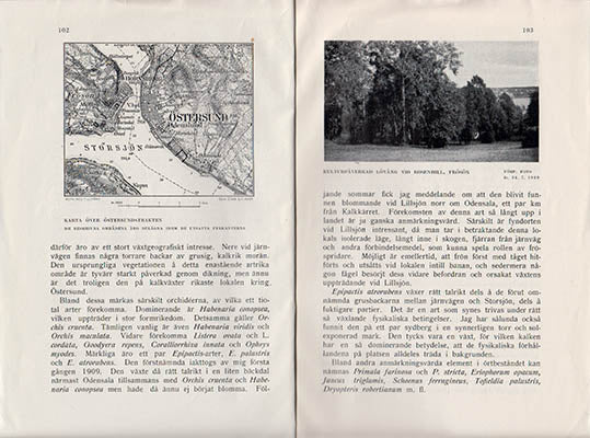 Anton Sörlin : Några märkligare naturområden i Östersundstrakten