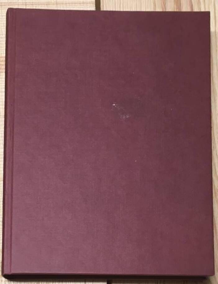 100 år genom gårdar & hus i Hunnestad 1894-1994