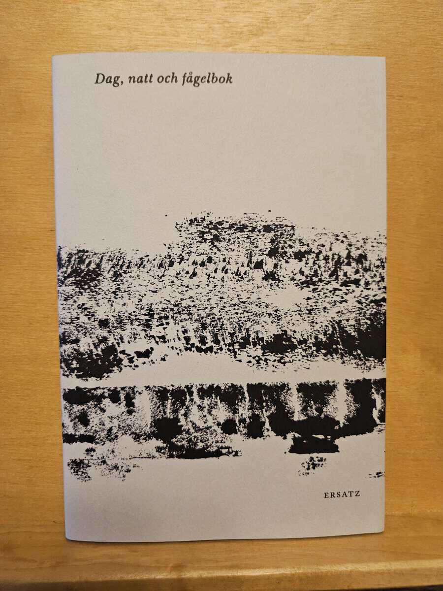 A. Brager : Dag, natt och fågelbok