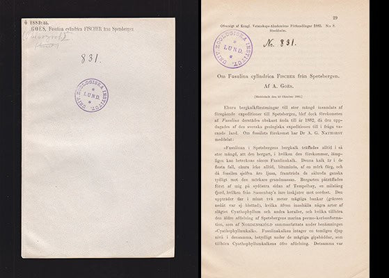 A. Goës : Om Fusulina cylindrica Fischer från Spetsbergen. [Meddeladt den 10 Oktober 1883.]