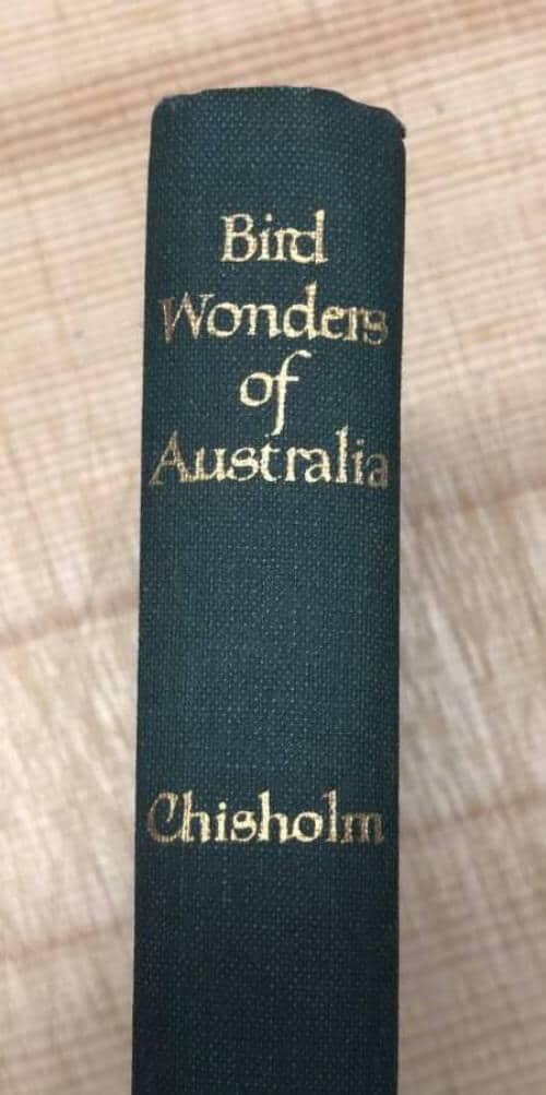 A H Chisholm : Bird wonders of Australia