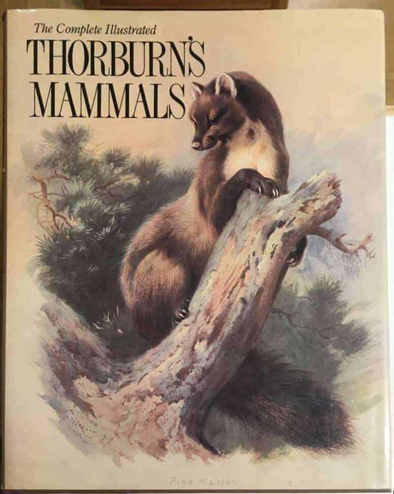 A Thorburn : The Complete illustrated Thorburns mammals