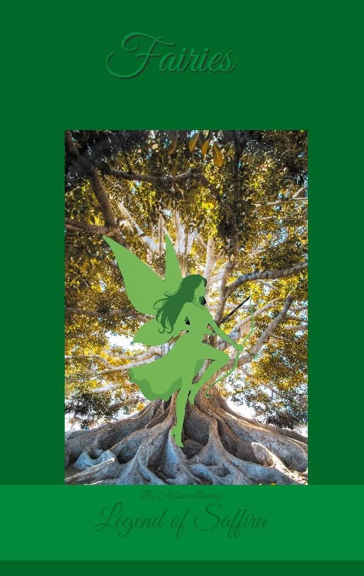 Adam Ivehag : Fairies