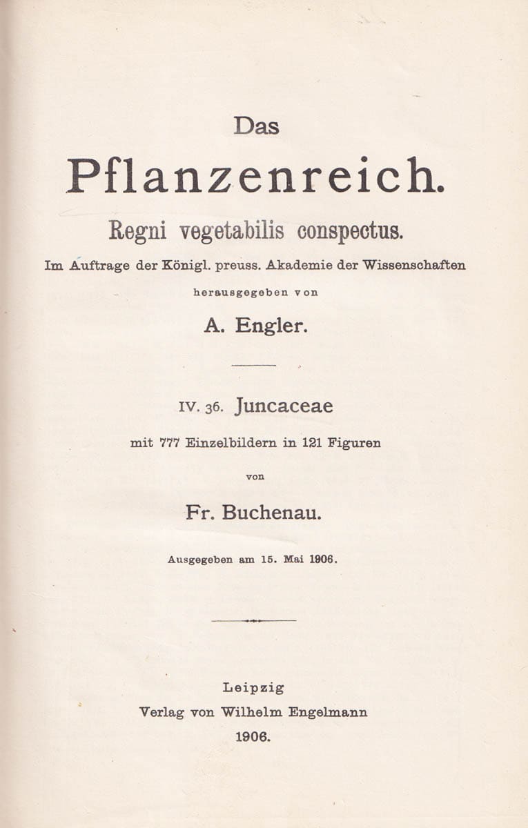 Adolf Engler : Das Pflanzenreich