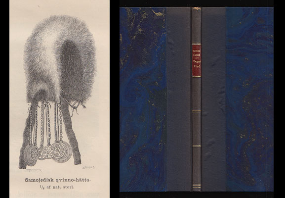 Adolf Erik Nordenskiöld : Vegas färd kring Asien och Europa jemte en historisk återblick på föregående resor längs gamla verldens nordkust. Förra delen (sid. [4],1-96 av xv,[1],510 sdor)