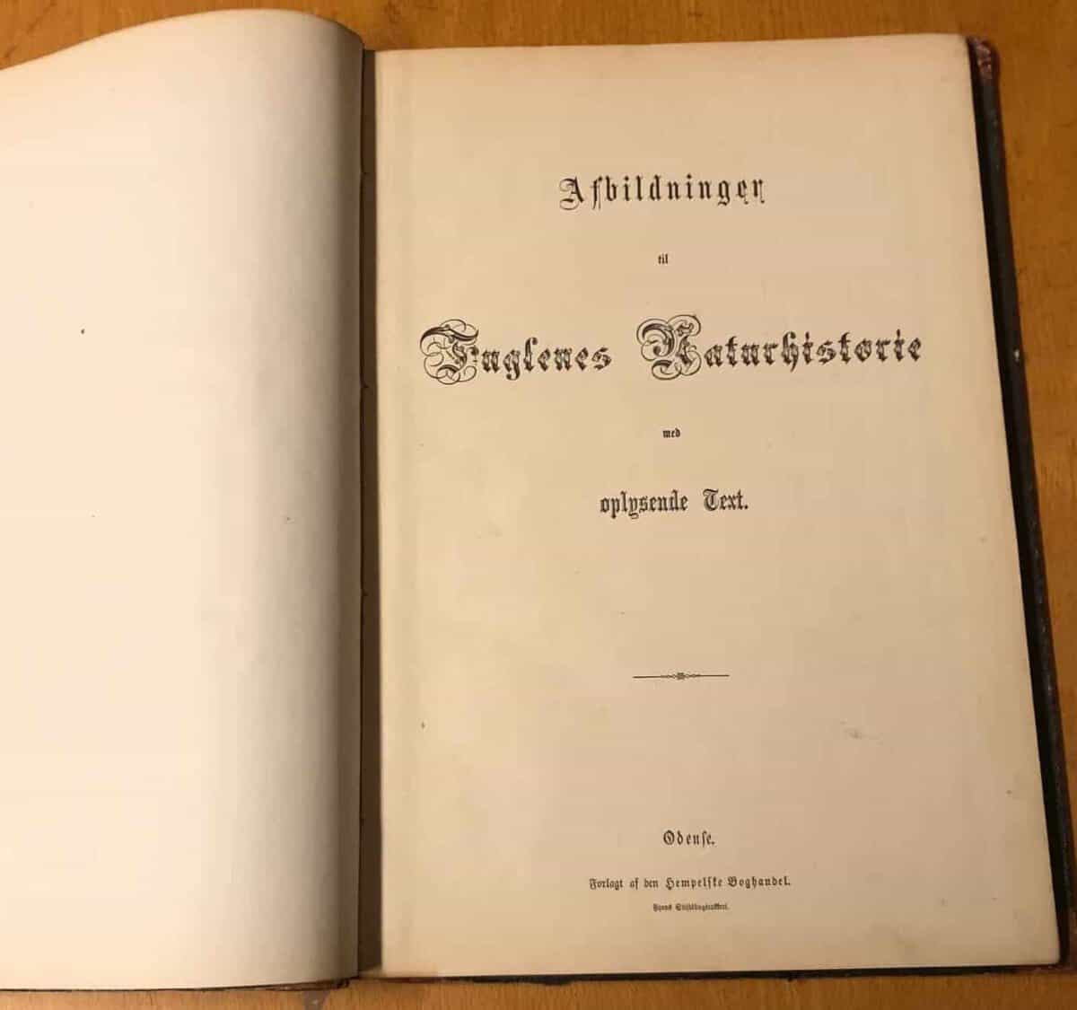 : : Afbildninger til Fuglenes Naturhistorie med oplysende text