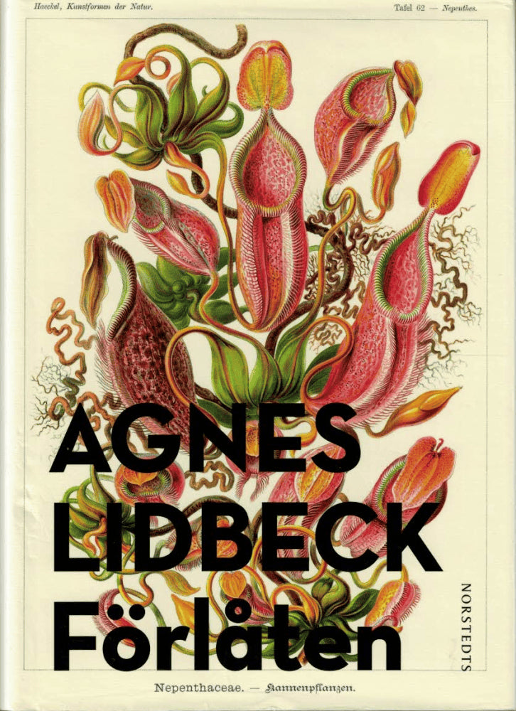 Agnes Lidbeck : Förlåten