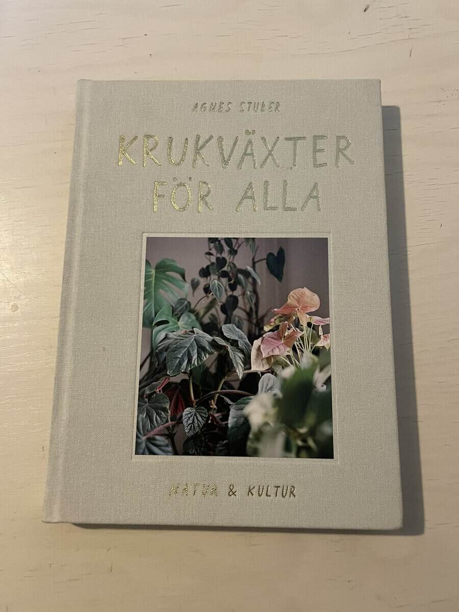 Agnes Stuber : Krukväxter för alla