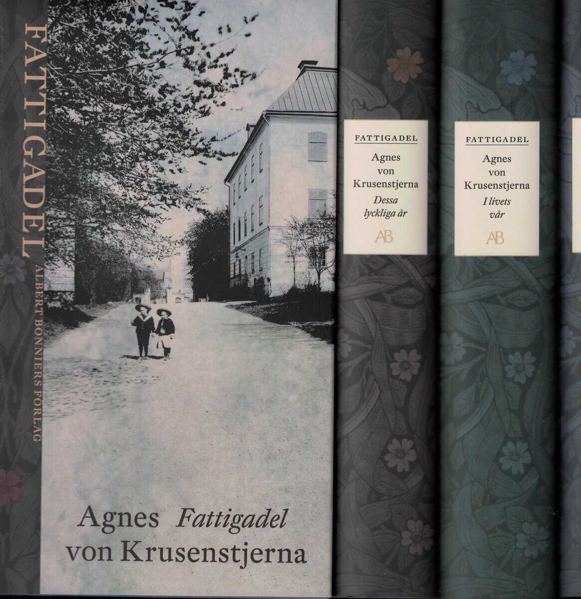 Agnes von Krusenstjerna : Fattigadel